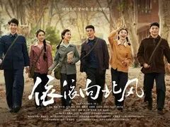依依向北风剧情介绍封面图